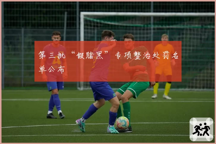 第三批“假赌黑”专项整治处罚名单公布