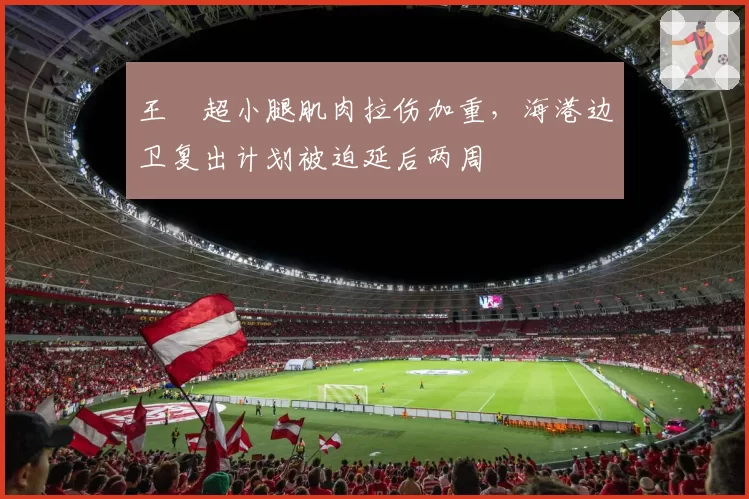 王燊超小腿肌肉拉伤加重，海港边卫复出计划被迫延后两周