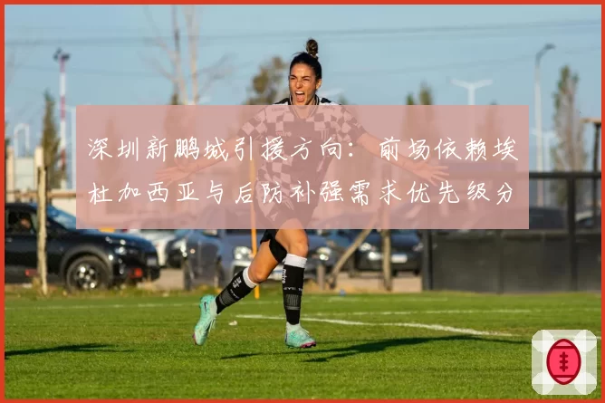 深圳新鹏城引援方向：前场依赖埃杜加西亚与后防补强需求优先级分析