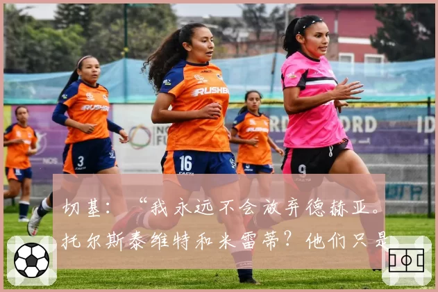 切基:“我永远不会放弃德赫亚。托尔斯泰维特和米雷蒂?他们只是凑数的”