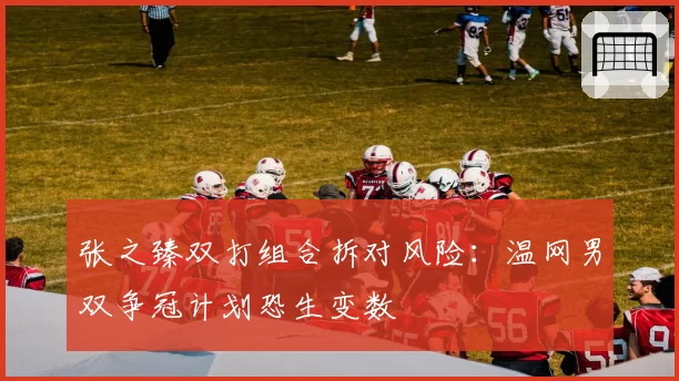 张之臻双打组合拆对风险：温网男双争冠计划恐生变数