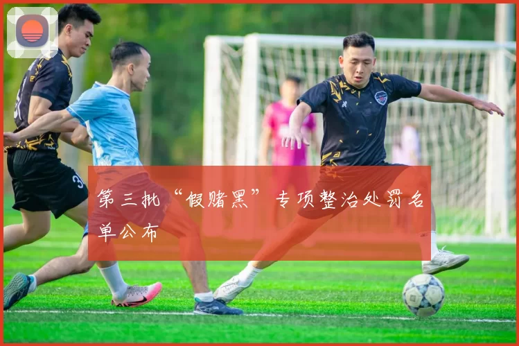 第三批“假赌黑”专项整治处罚名单公布