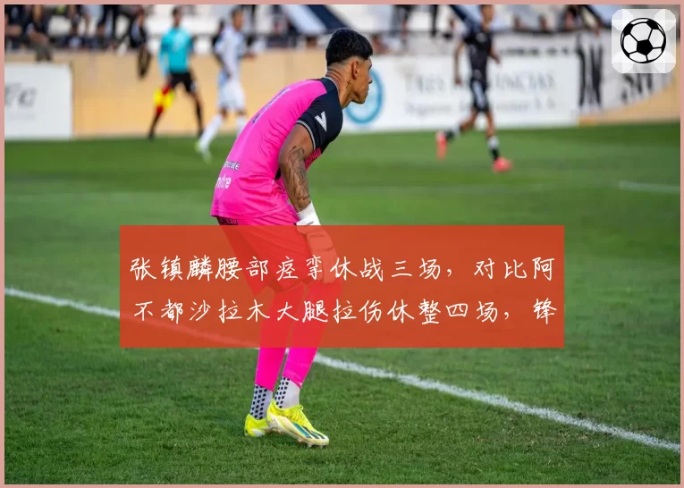张镇麟腰部痉挛休战三场,对比阿不都沙拉木大腿拉伤休整四场,锋线恢复速度分化明显